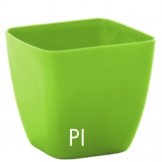 square cover pot in plastic verve pistachio colour