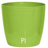 cover pot in plastic verve pistachio colour