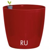 vaso in plastica verve plus colore rubino