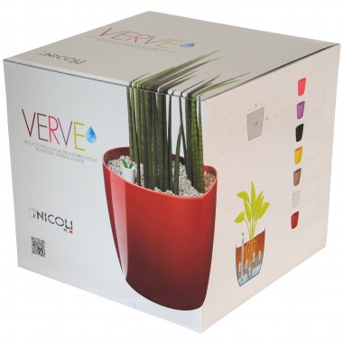 scatola verve plus